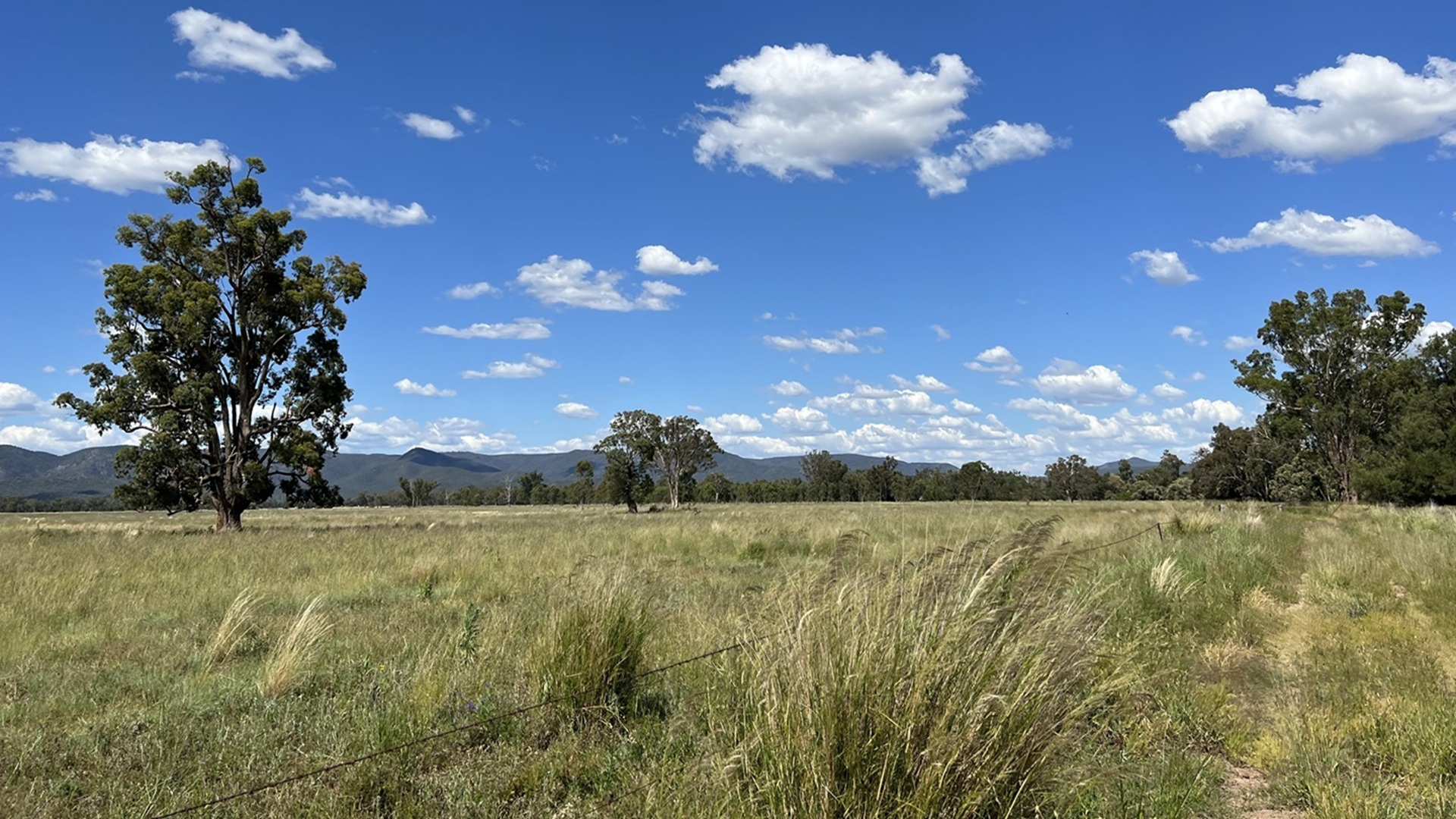 Maules Creek Solar Farm