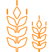 Wheat Icon